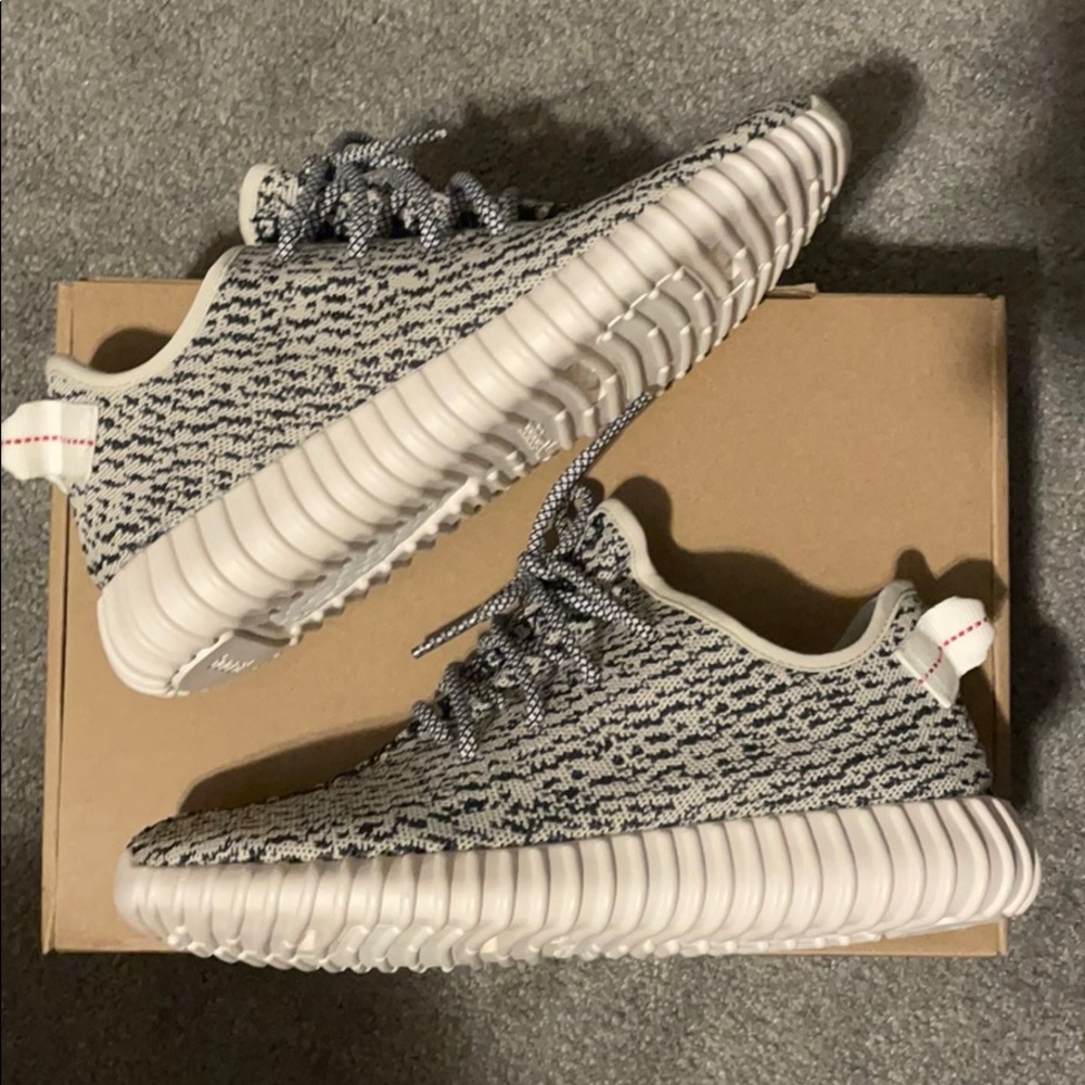Yeezy 350 turtle dove
